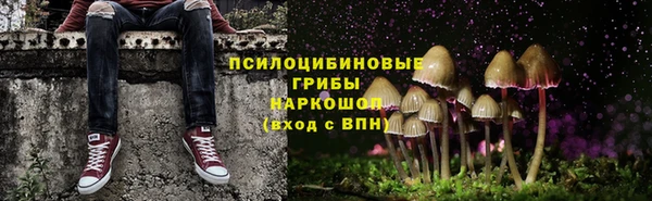 ПСИЛОЦИБИНОВЫЕ ГРИБЫ Михайловск