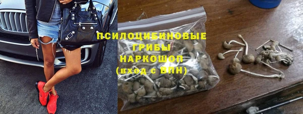 ПСИЛОЦИБИНОВЫЕ ГРИБЫ Михайловск